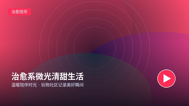 玩物回放